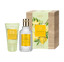 Produktabbildung 4711 Acqua Colonia Starfruit & White Flowers Duoset mit Duft und Duschgel