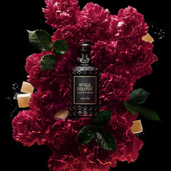 4711 Acqua Colonia Collection Absolue Noble Rose liegt zwischen Rosa Damascena und Lokum