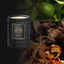 4711 Acqua Colonia Collection Absolue Duftkerze Amber Mandarin mit Duftpyramide