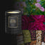 4711 Acqua Colonia Collection Absolue Duftkerze Noble Rose mit Duftpyramide