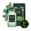 4711 Acqua Colonia Intense Produktabbildung Wakening Woods of Scandinavia mit Illustration und Foto von Tannennadeln