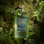 4711 Acqua Colonia Intense Wakening Woods of Scandinavia liegt auf Tannen und Moos