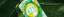 Ausschnitt von 4711 Remix Green Oasis auf tropischem Blatt