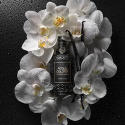 4711 Acqua Colonia Collection Absolue Orchid Vanilla liegt zwischen Orchideen und Vanilleschoten